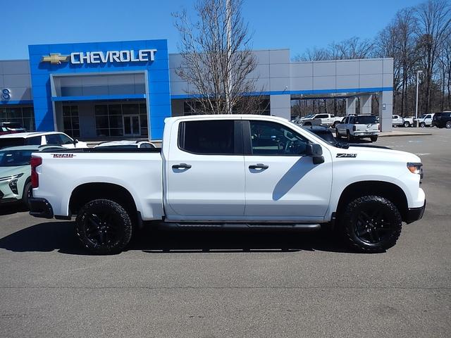 2025 Chevrolet Silverado 1500 Vehicle Photo in JASPER, GA 30143-8655