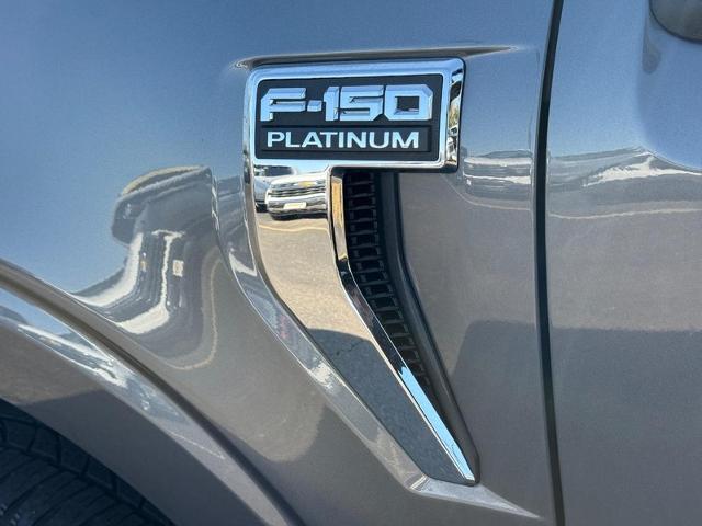 2021 Ford F-150 Vehicle Photo in COLUMBIA, MO 65203-3903