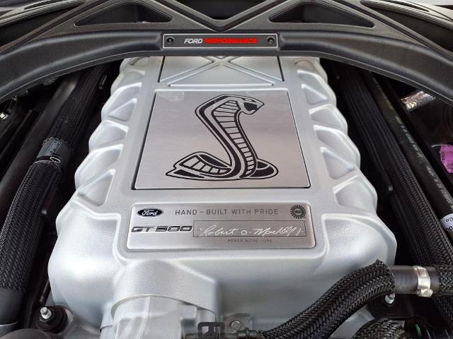 2021 Ford Mustang Vehicle Photo in Tampa, FL 33612