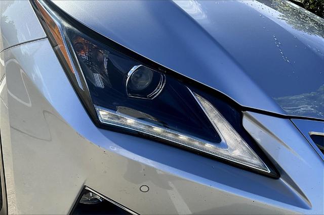 2017 Lexus RX 350 Vehicle Photo in Houston, TX 77007