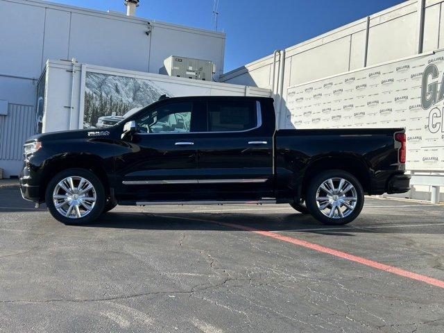 2024 Chevrolet Silverado 1500 Vehicle Photo in DALLAS, TX 75244-5909