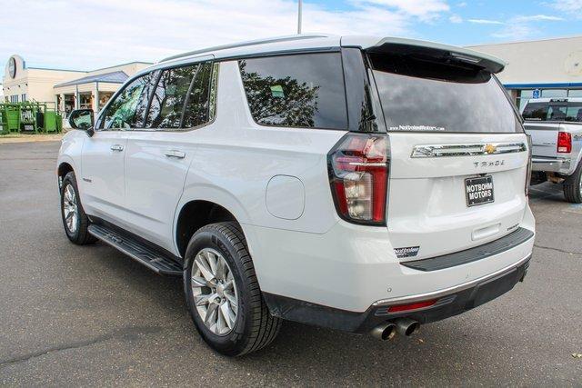 2023 Chevrolet Tahoe Vehicle Photo in MILES CITY, MT 59301-5791