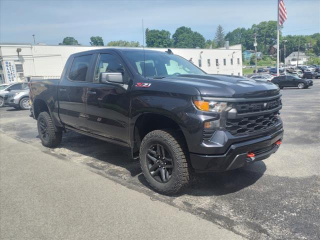 2024 Chevrolet Silverado 1500 Vehicle Photo in INDIANA, PA 15701-1897