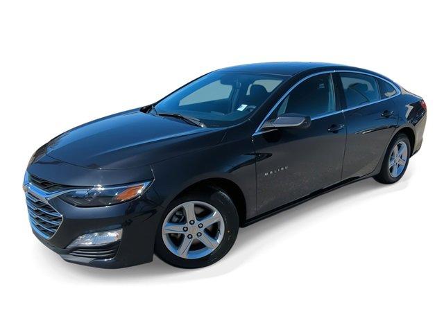 2023 Chevrolet Malibu Vehicle Photo in COLLIERVILLE, TN 38017-9006
