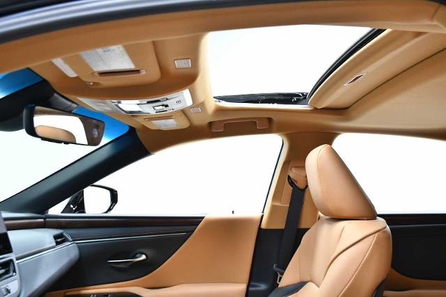 2024 Lexus ES 250 Vehicle Photo in DALLAS, TX 75235