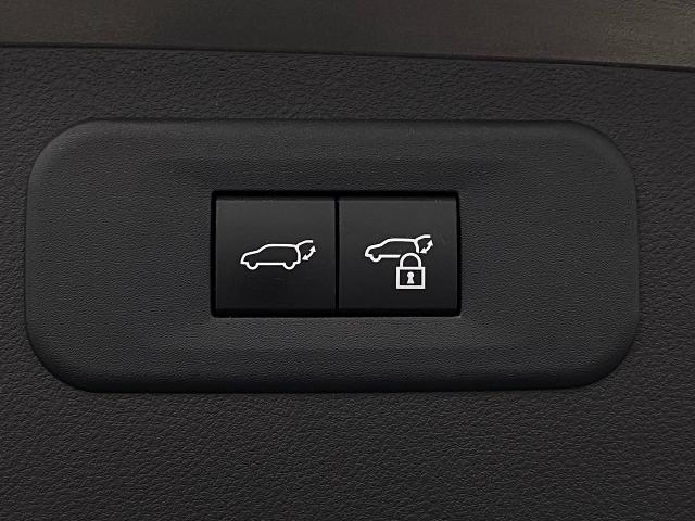 2024 Lexus NX 250 Vehicle Photo in Appleton, WI 54913