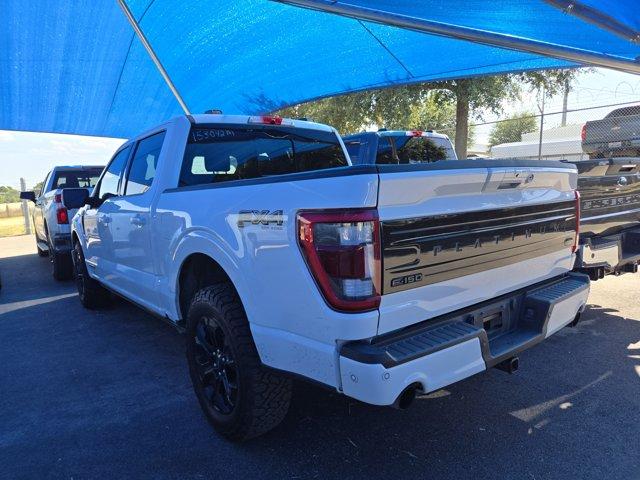 2023 Ford F-150 Vehicle Photo in Decatur, TX 76234