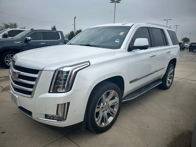 2019 Cadillac Escalade Vehicle Photo in ROSENBERG, TX 77471-5675