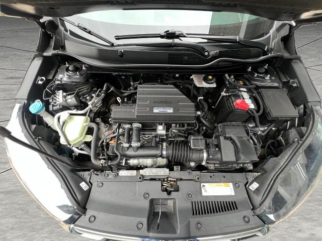 2019 Honda CR-V Vehicle Photo in Appleton, WI 54914