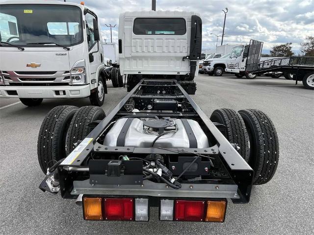 2025 Chevrolet Low Cab Forward 3500 Vehicle Photo in ALCOA, TN 37701-3235