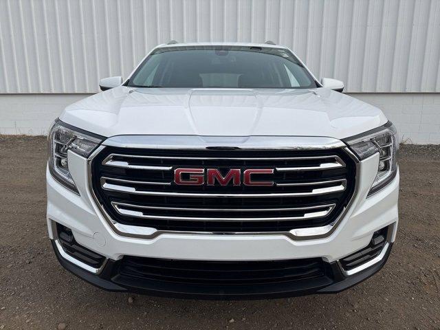 Certified 2024 GMC Terrain SLT with VIN 3GKALVEG9RL179819 for sale in Jackson, MI