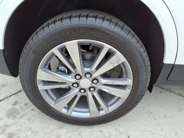 2025 Cadillac XT5 Vehicle Photo in Tampa, FL 33612