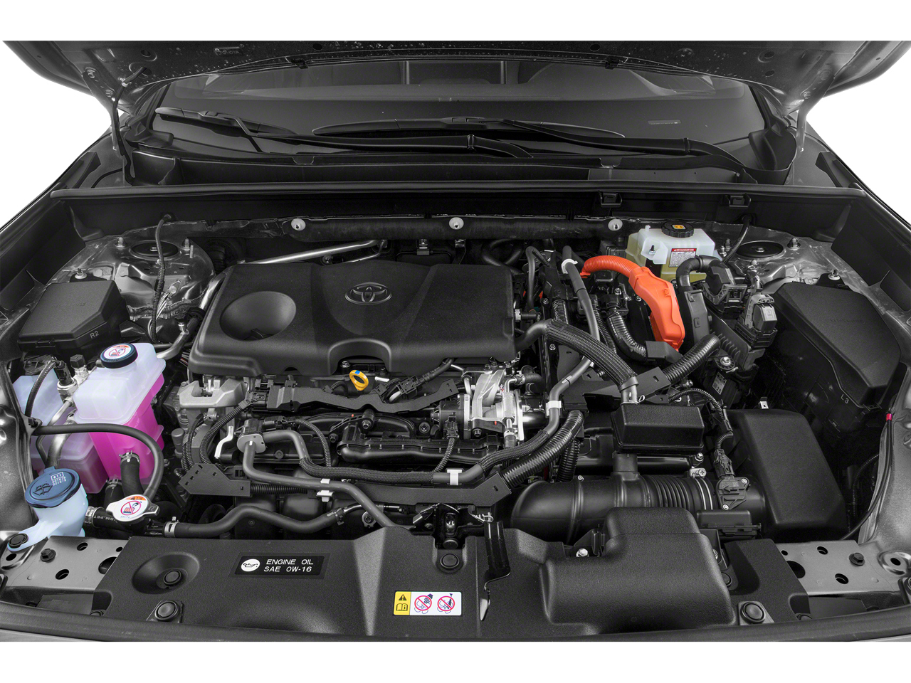 2019 Toyota RAV4 Vehicle Photo in Green Bay, WI 54304