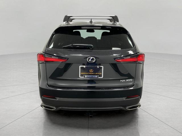 2020 Lexus NX 300 Vehicle Photo in Appleton, WI 54913