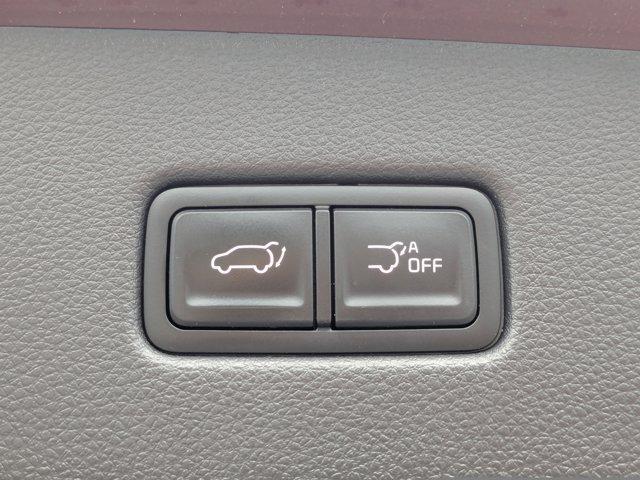 2024 Kia Carnival Vehicle Photo in BRUNSWICK, GA 31525-1881