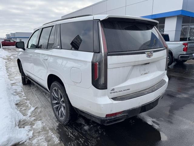 2021 Cadillac Escalade Vehicle Photo in NEENAH, WI 54956-2243