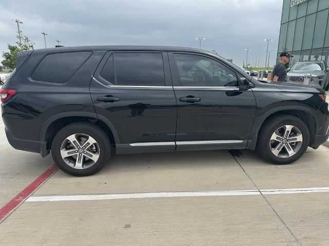 2024 Honda Pilot Vehicle Photo in San Antonio, TX 78230