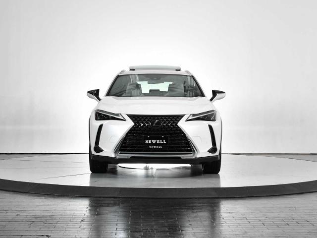 2024 Lexus UX 250h Vehicle Photo in DALLAS, TX 75235