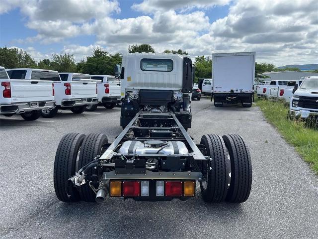 2024 Chevrolet Low Cab Forward 5500 HG Vehicle Photo in ALCOA, TN 37701-3235