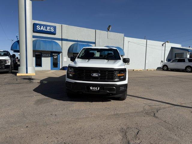 2025 Ford F-150 Vehicle Photo in Ogallala, NE 69153