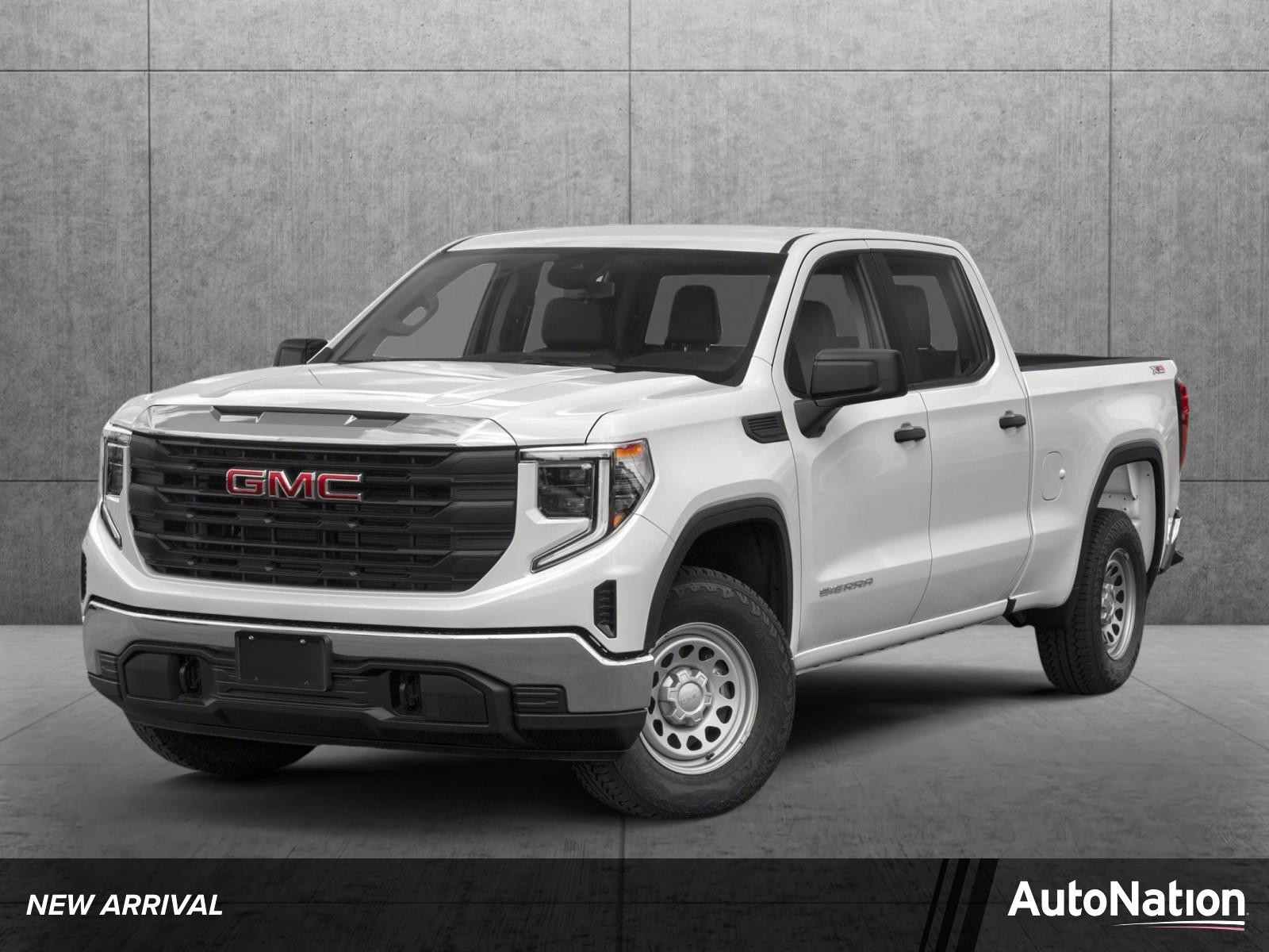 2023 GMC Sierra 1500 Vehicle Photo in Bradenton, FL 34207