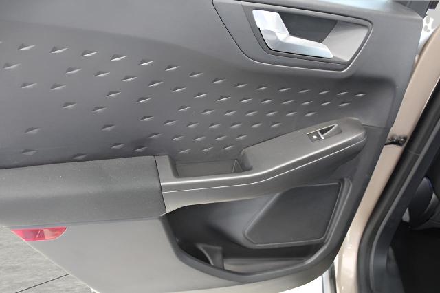 2020 Ford Escape Vehicle Photo in Green Bay, WI 54304