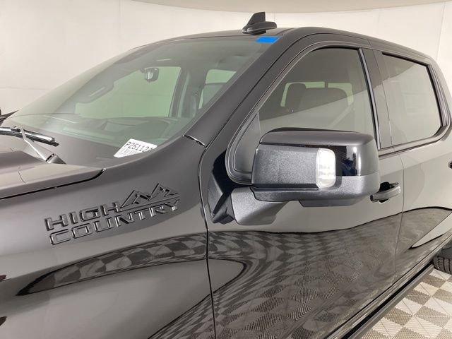 2025 Chevrolet Silverado 1500 Vehicle Photo in PHOENIX, AZ 85014-3381
