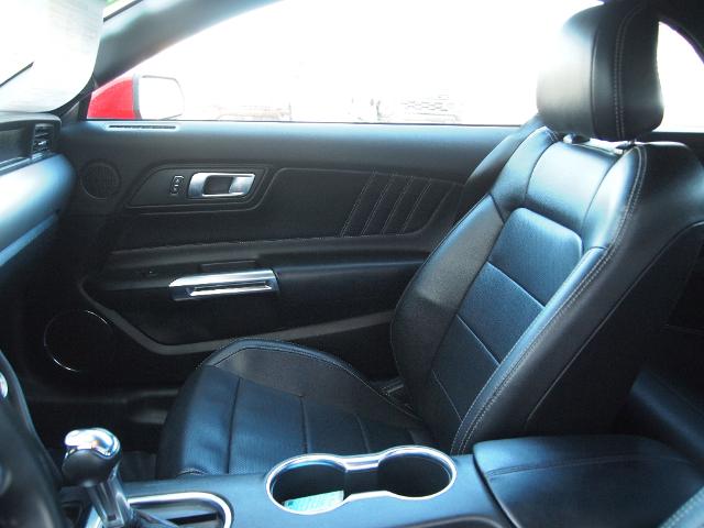 2023 Ford Mustang Vehicle Photo in MADISON, IN 47250-1611