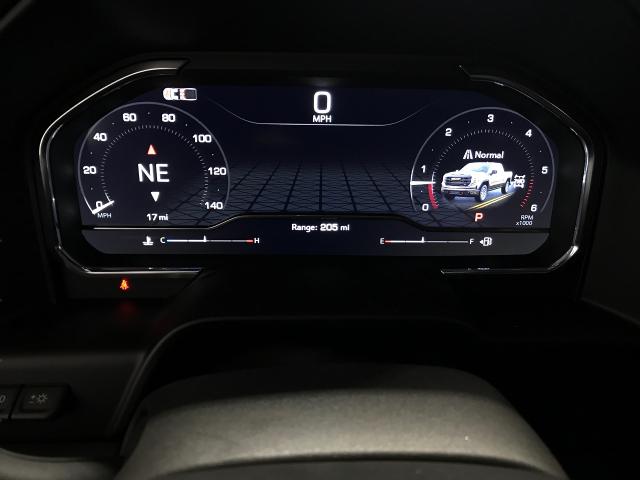 2025 GMC Sierra 1500 Vehicle Photo in GREEN BAY, WI 54303-3330