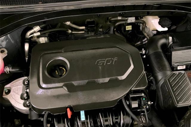2022 Kia Sportage Vehicle Photo in Lees Summit, MO 64086