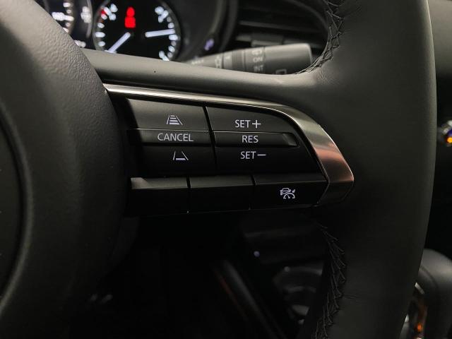 2025 Mazda CX-30 Vehicle Photo in Appleton, WI 54913