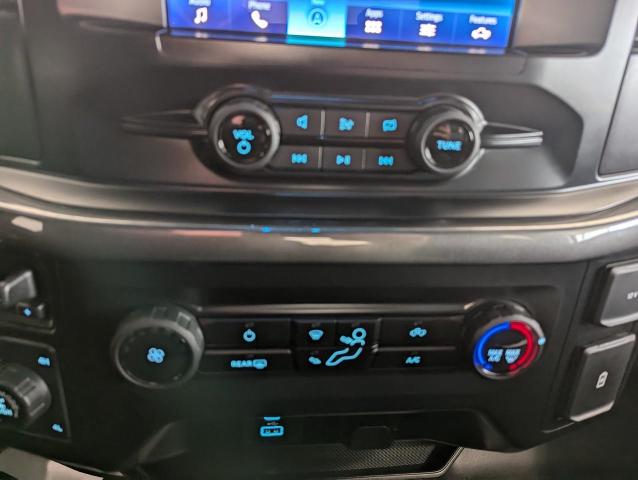 2023 Ford F-150 Vehicle Photo in Oshkosh, WI 54901