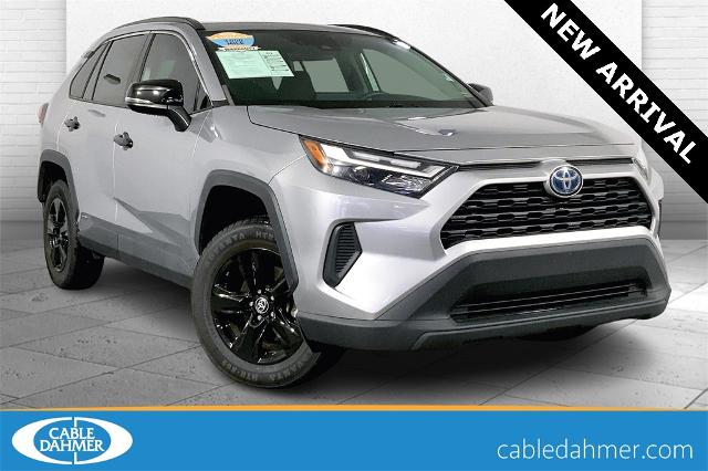 2022 Toyota RAV4 Vehicle Photo in Lees Summit, MO 64086