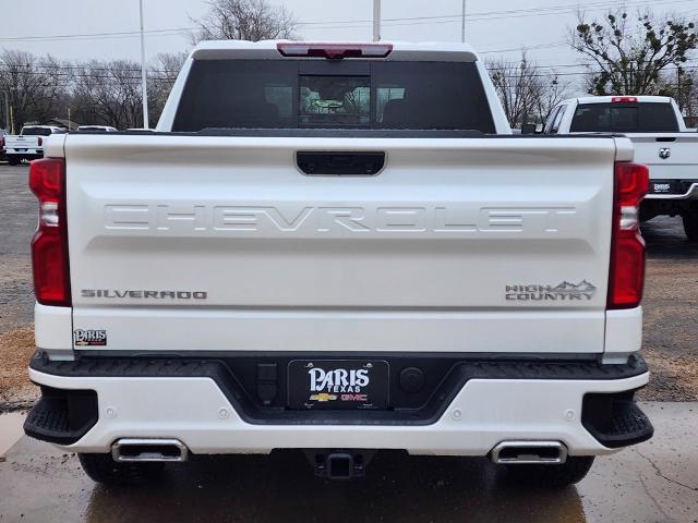 2025 Chevrolet Silverado 1500 Vehicle Photo in PARIS, TX 75460-2116