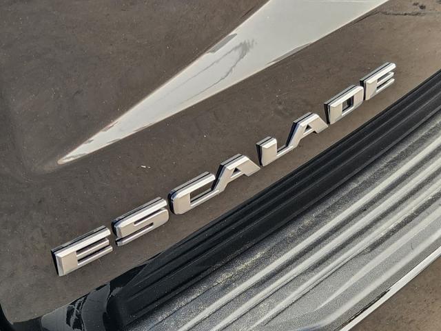 2023 Cadillac Escalade ESV Vehicle Photo in GRAPEVINE, TX 76051-8302