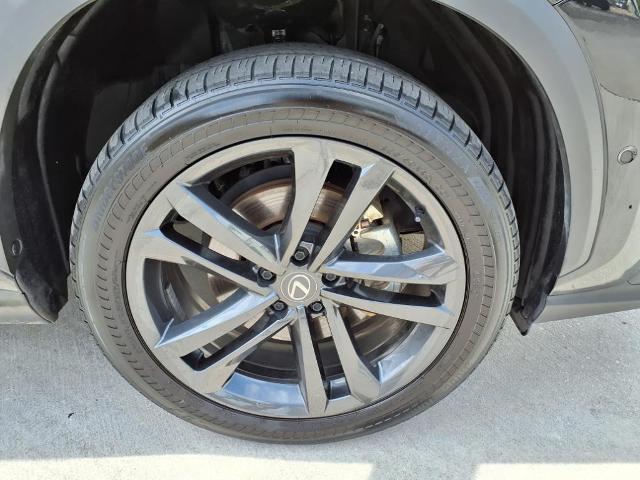 2024 Lexus NX 450h+ Vehicle Photo in Tampa, FL 33612