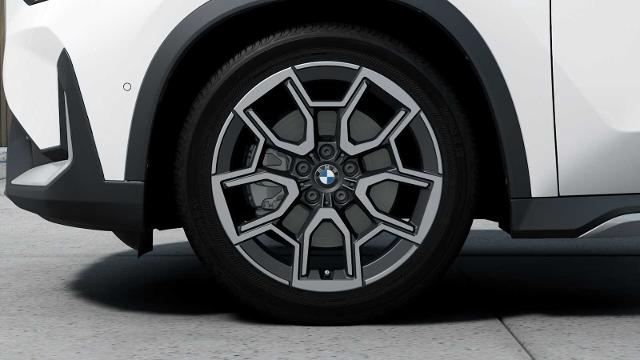 2025 BMW X1 xDrive28i Vehicle Photo in GRAPEVINE, TX 76051