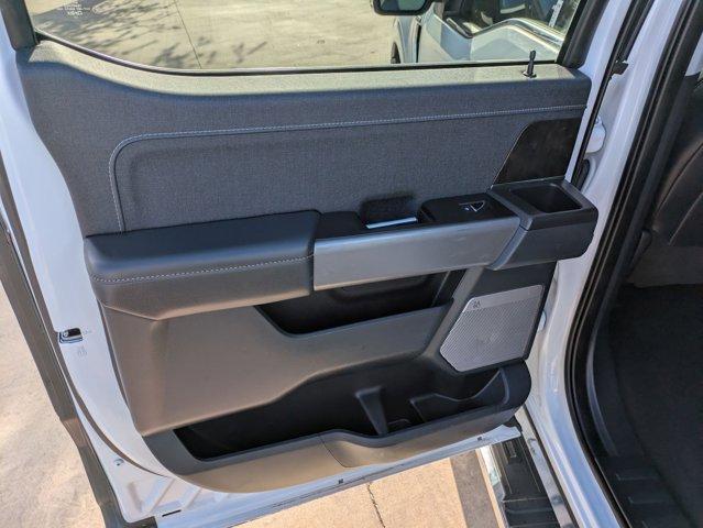 2023 Ford F-150 Vehicle Photo in SELMA, TX 78154-1459