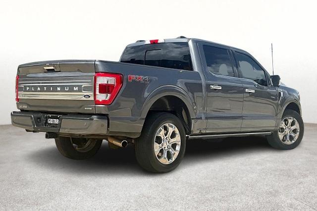 2023 Ford F-150 Vehicle Photo in San Antonio, TX 78230