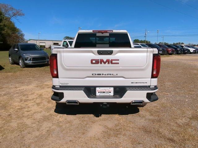 2025 GMC Sierra 1500 Vehicle Photo in ALBERTVILLE, AL 35950-0246