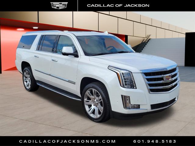 2020 Cadillac Escalade ESV Vehicle Photo in RIDGELAND, MS 39157-4406