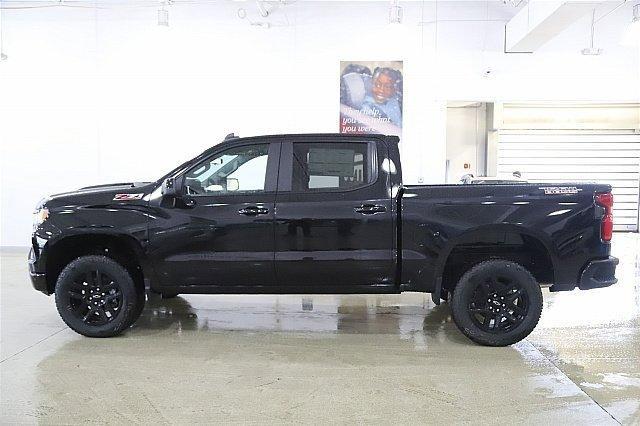 2025 Chevrolet Silverado 1500 Vehicle Photo in MEDINA, OH 44256-9001