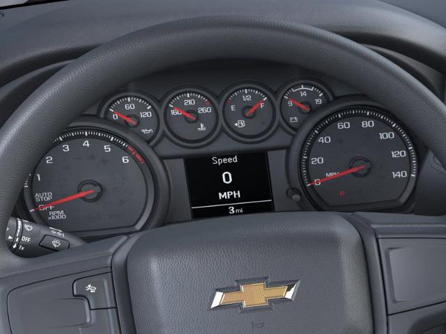 2024 Chevrolet Silverado 1500 Vehicle Photo in POOLER, GA 31322-3252
