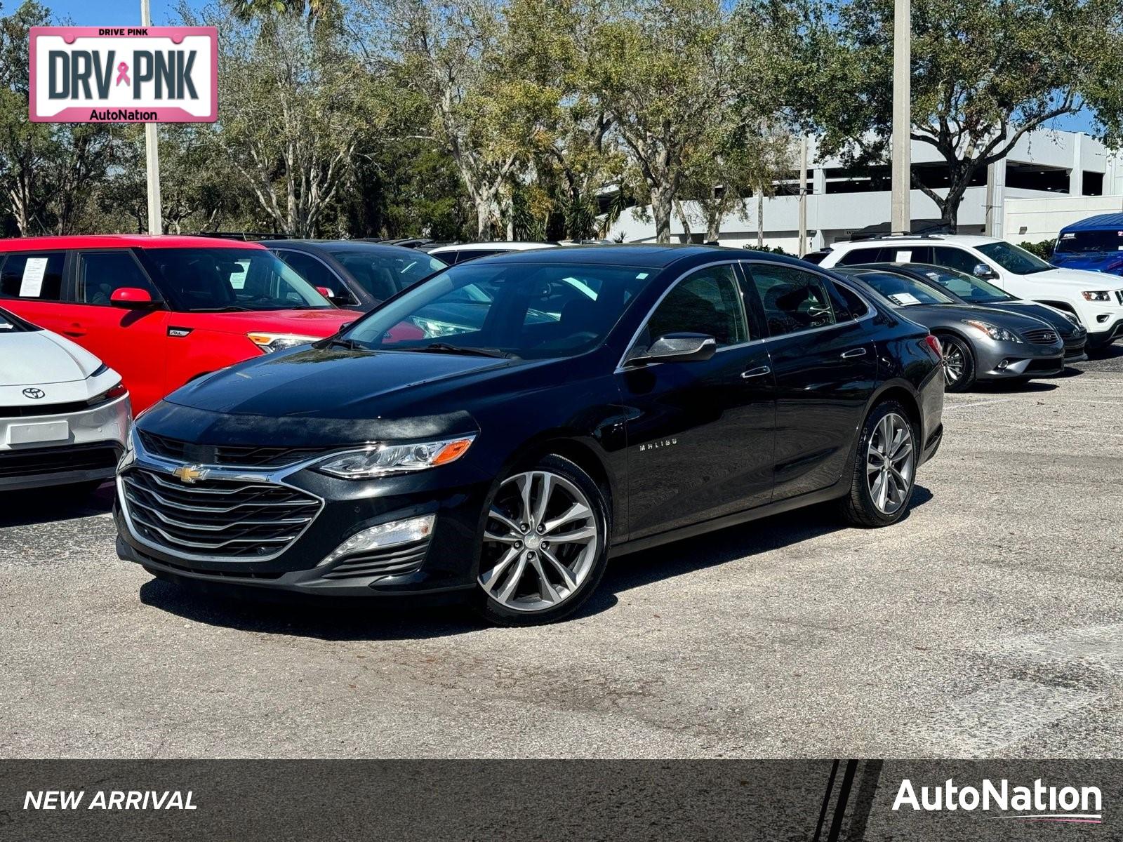 2019 Chevrolet Malibu Vehicle Photo in Tampa, FL 33614