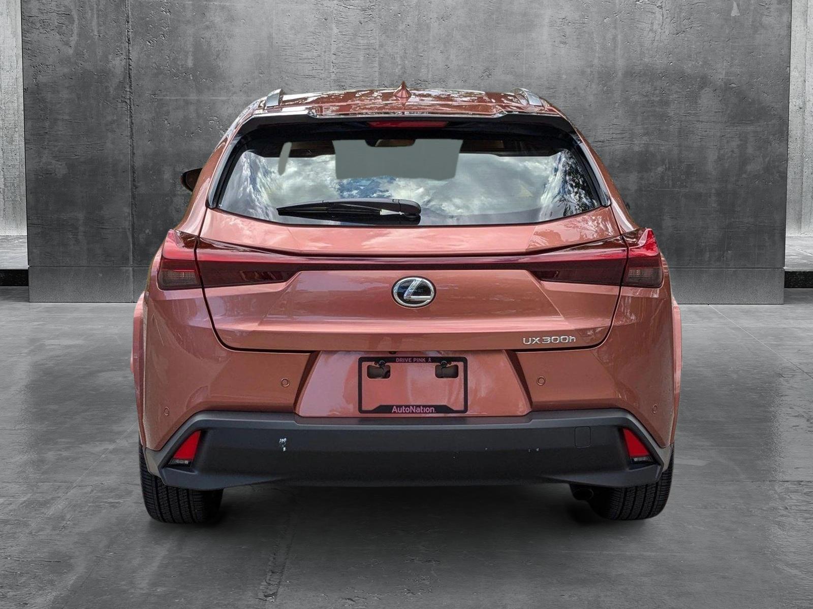 2025 Lexus UX 300h Vehicle Photo in West Palm Beach, FL 33417