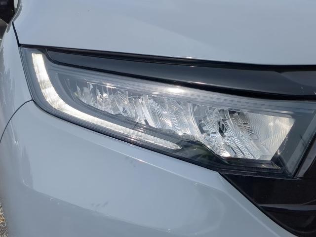 2023 Honda Odyssey Vehicle Photo in Brunswick, GA 31525