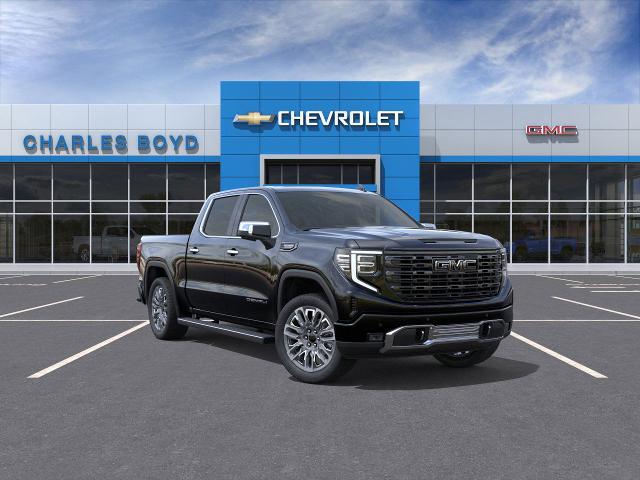 2025 GMC Sierra 1500 Vehicle Photo in HENDERSON, NC 27536-2966