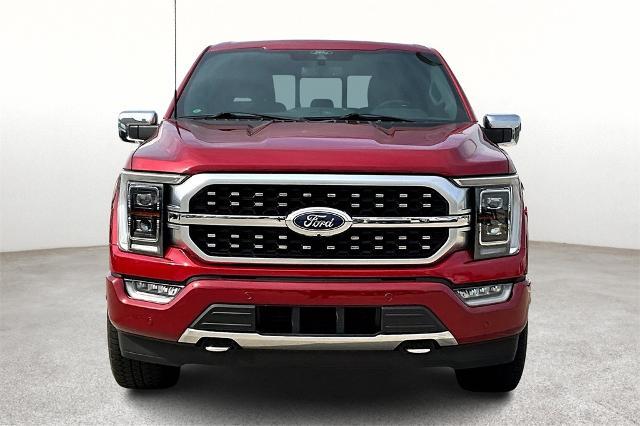 2022 Ford F-150 Vehicle Photo in Grapevine, TX 76051