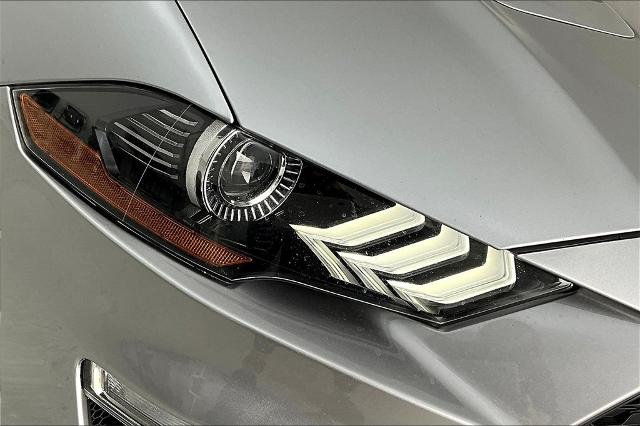 2022 Ford Mustang Vehicle Photo in Grapevine, TX 76051
