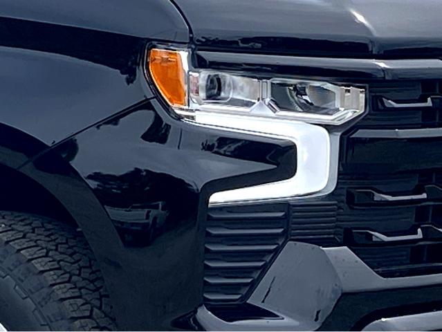 2025 Chevrolet Silverado 1500 Vehicle Photo in BEAUFORT, SC 29906-4218